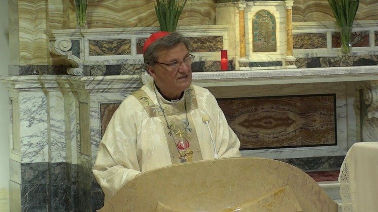 Đức Hồng Y Grech mời gọi mọi người cầu nguyện cho Thượng Hội đồng