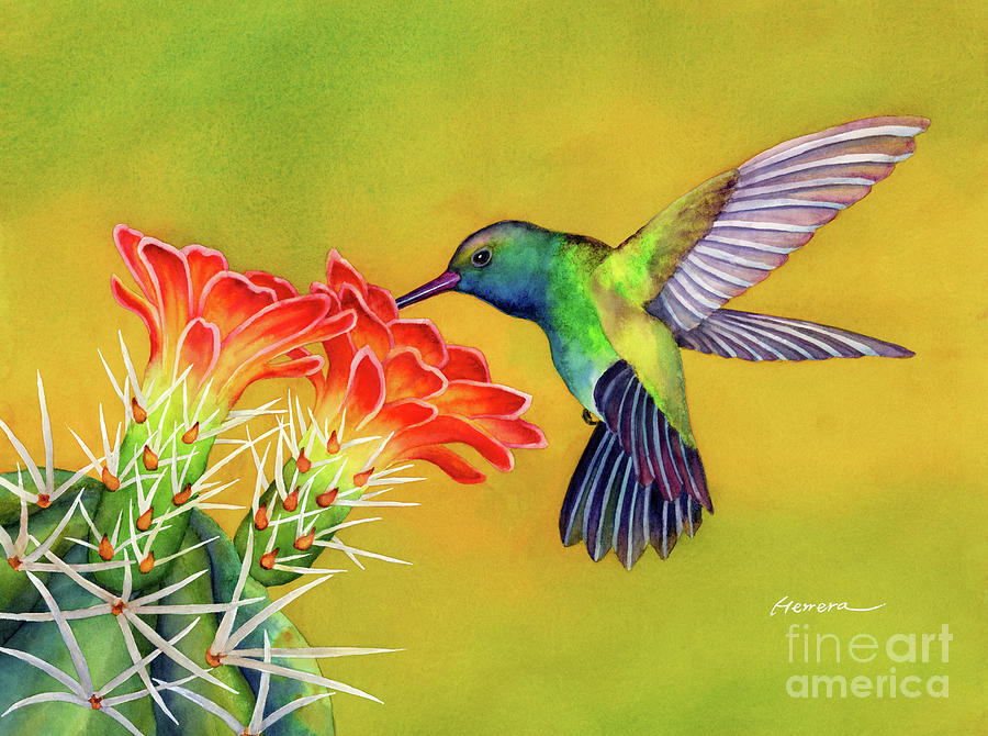 hummingbird-cactus