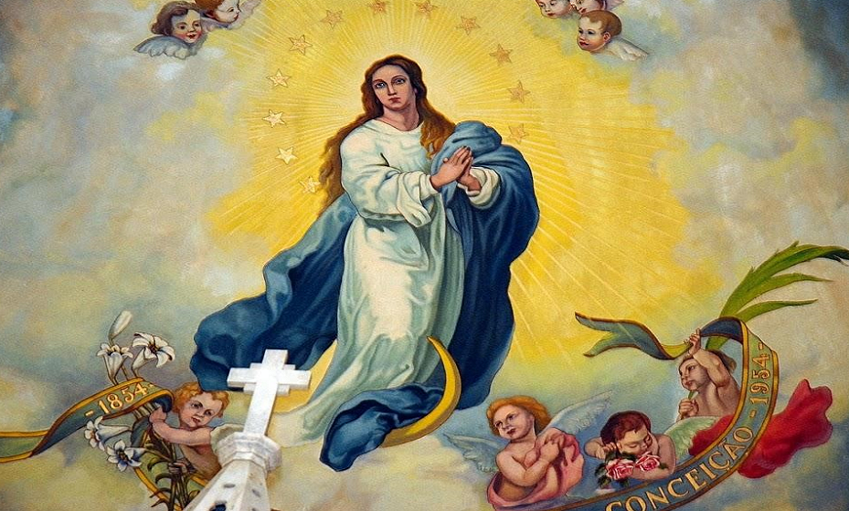 Ngày 08/12: Đức Maria Vô nhiễm Nguyên tội
