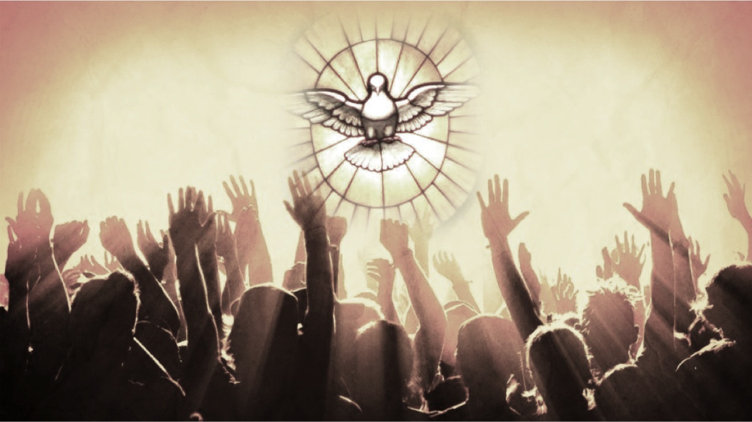 Nguyệt san tháng 03/2024: Vai trò của Chúa Thánh Thần trong việc tham gia