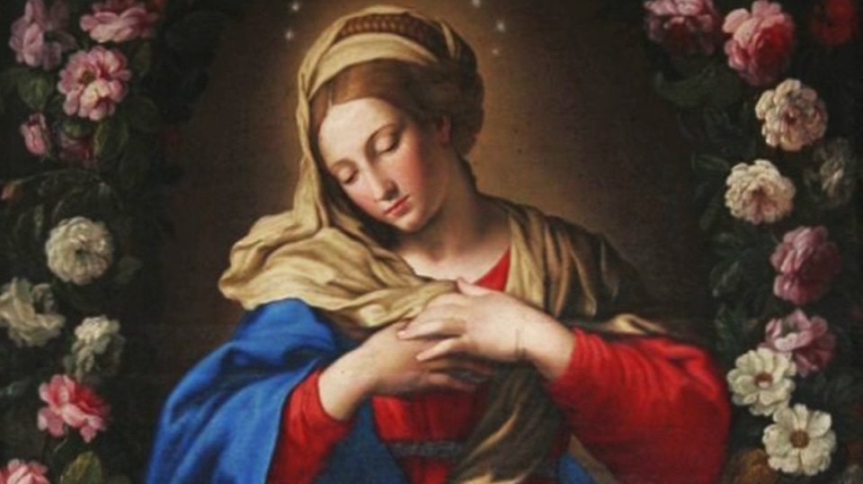 Hãy bắt đầu ngày mới bằng lời cầu nguyện buổi sáng với Đức Trinh Nữ Maria