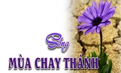 songmuachay