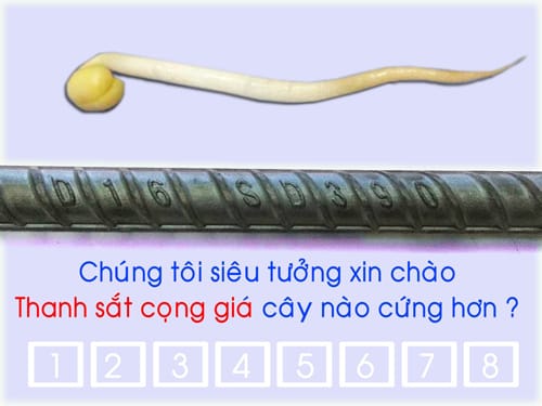 fff1
