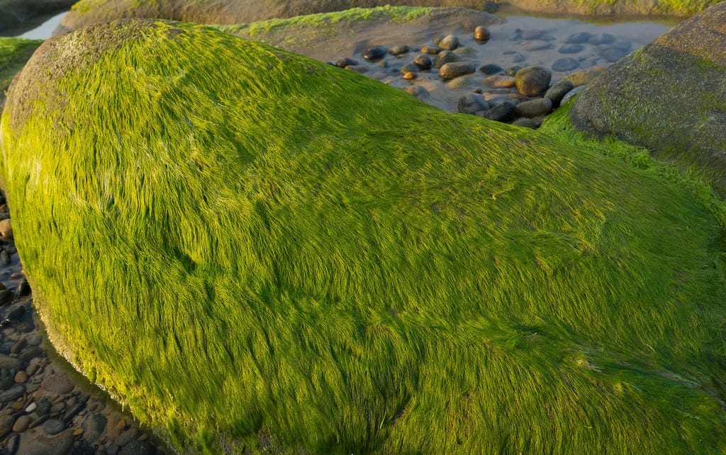 16192811457966e59ef20b