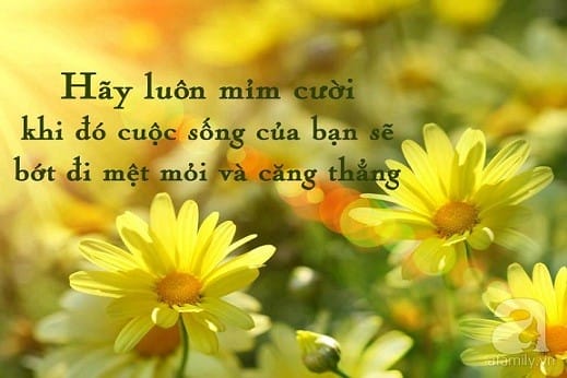 hajq