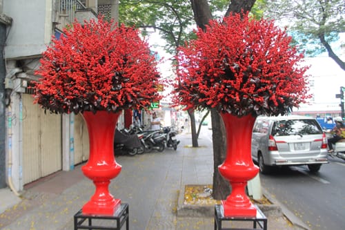 images26188451hoa