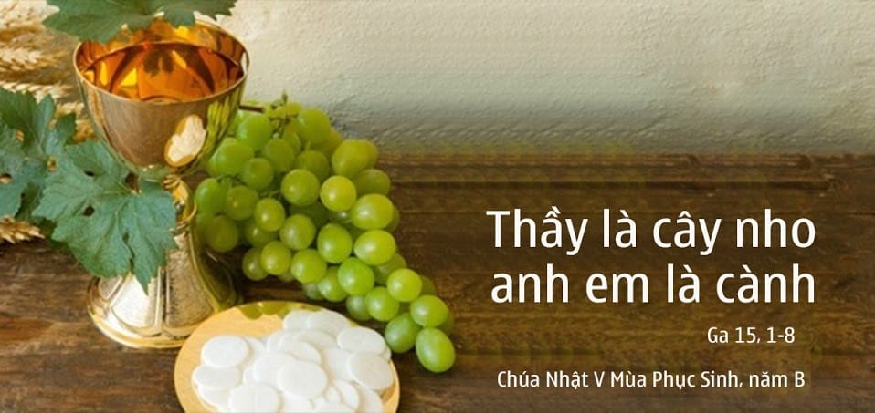 chua-nhat-v-mua-phuc-sinh-nam-b