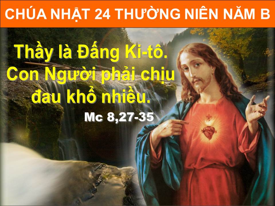 CN-24-TN-B-2015_WEB