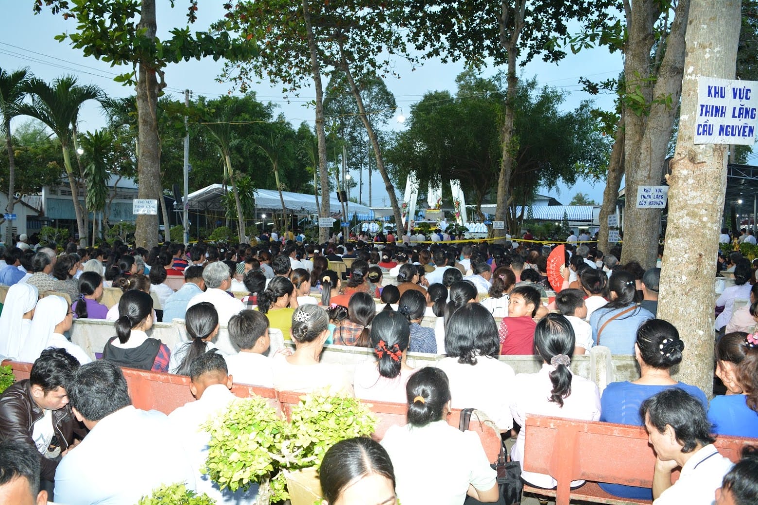 dsc00441