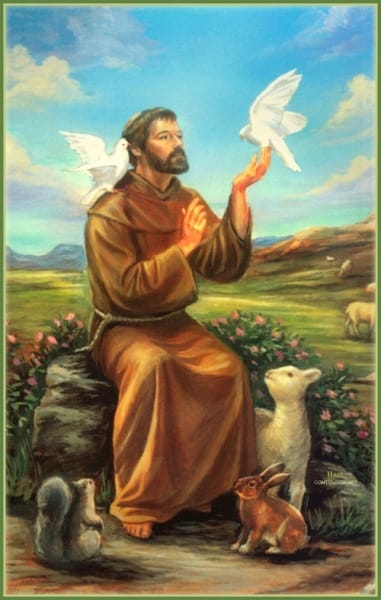 francis-assisi