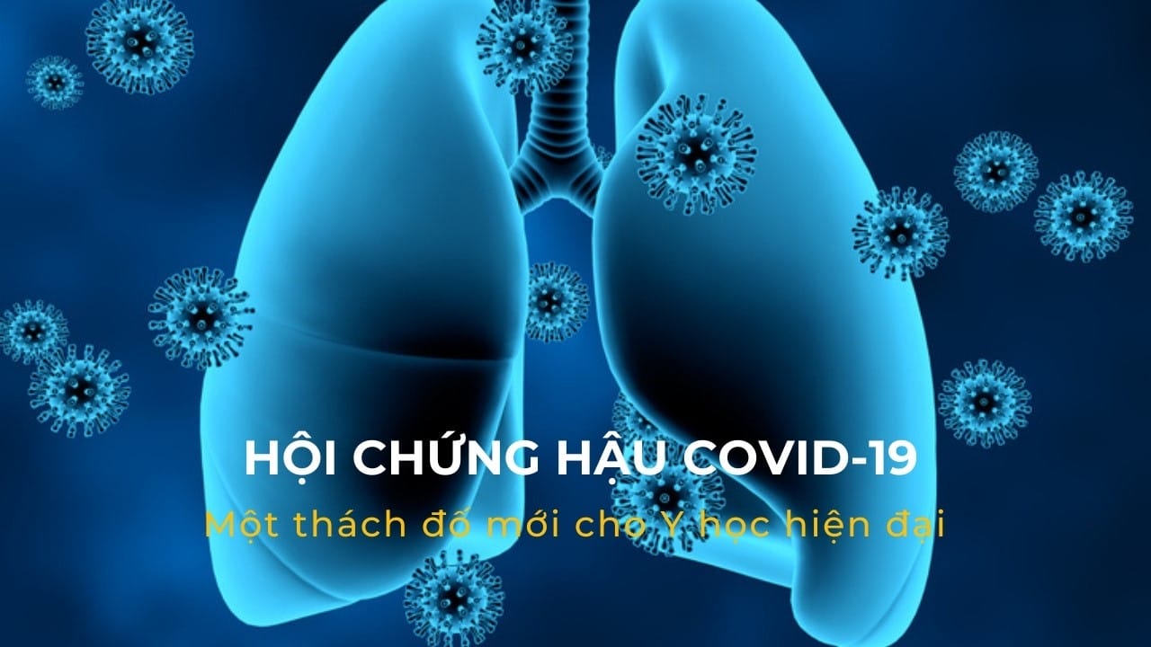 hoichunghaucovid19motthachdomoichoyhochiendai