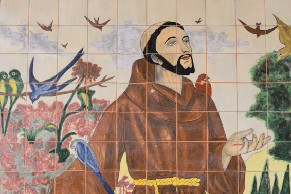 stfrancis1021jpg