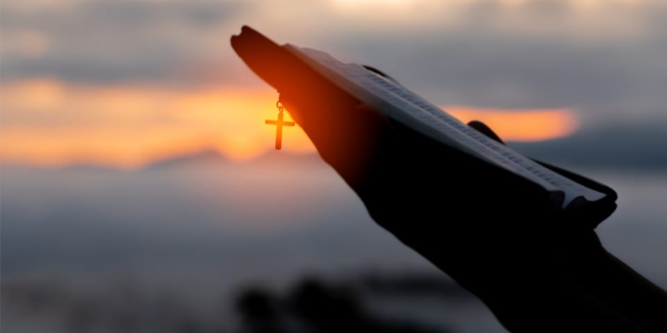 shutterstock1194204043