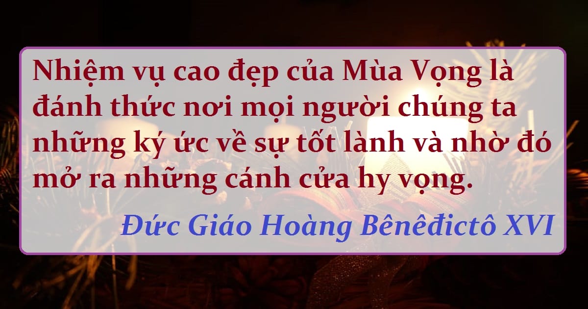 anh3 anh3