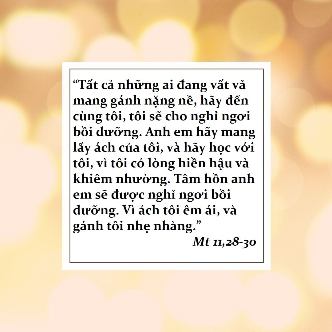 quotes6