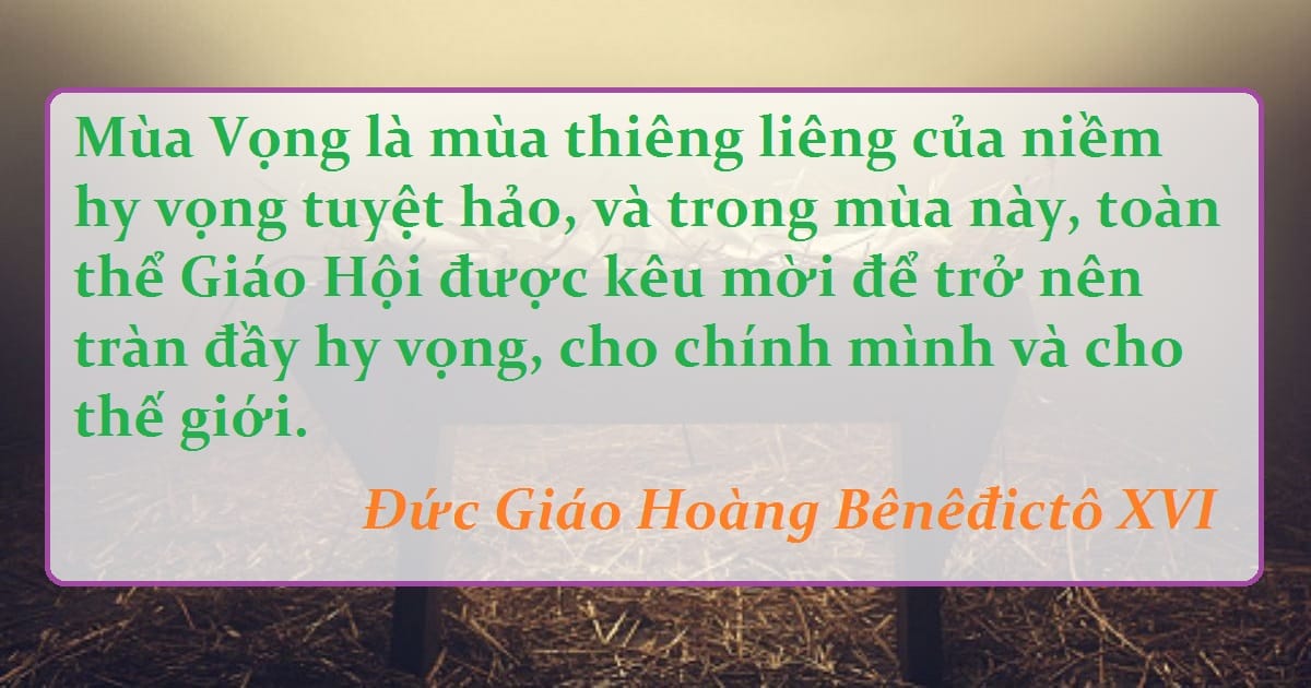 anh5 anh5