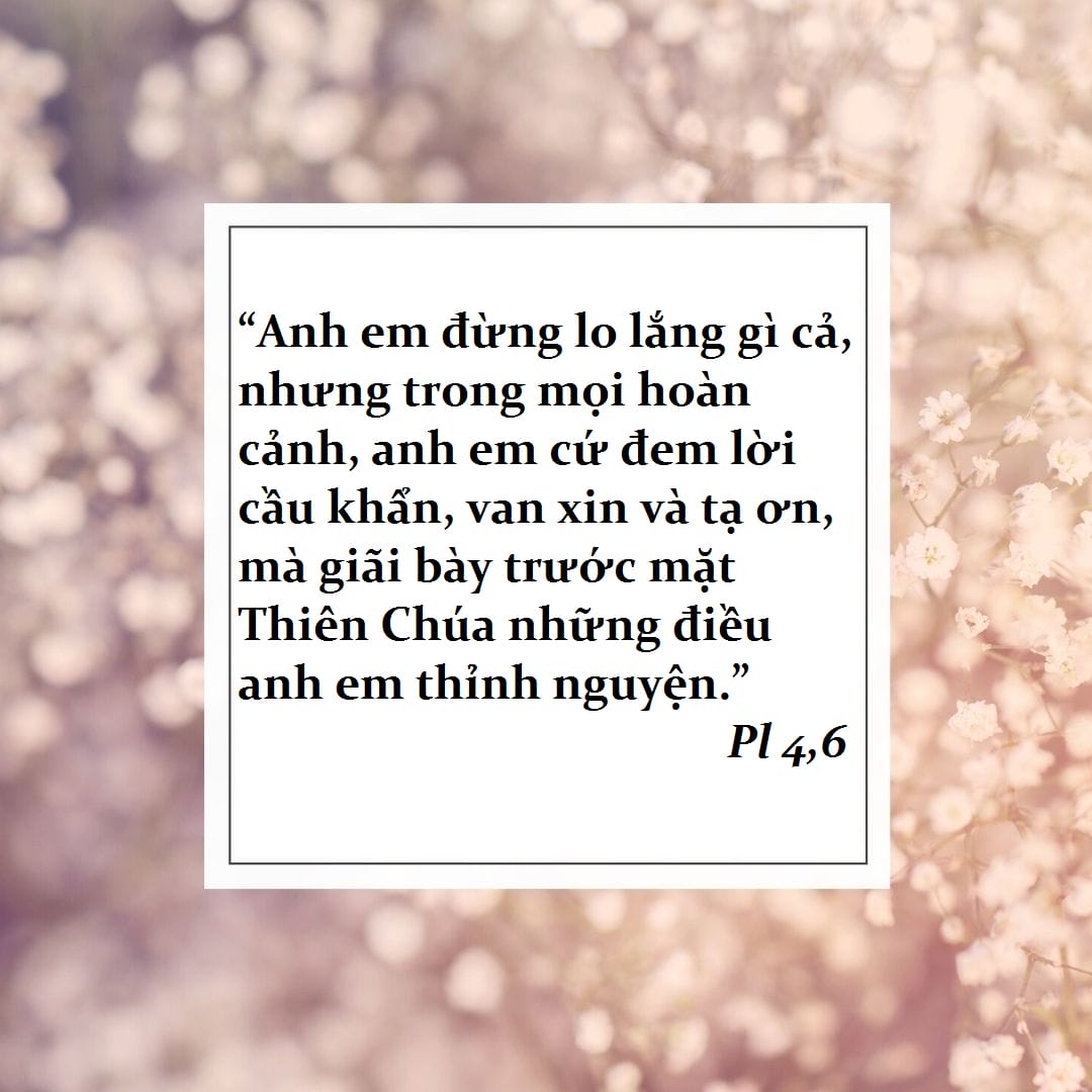 quotes5