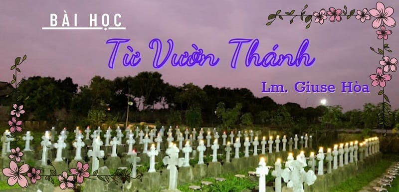 baihoctuvuonthanh