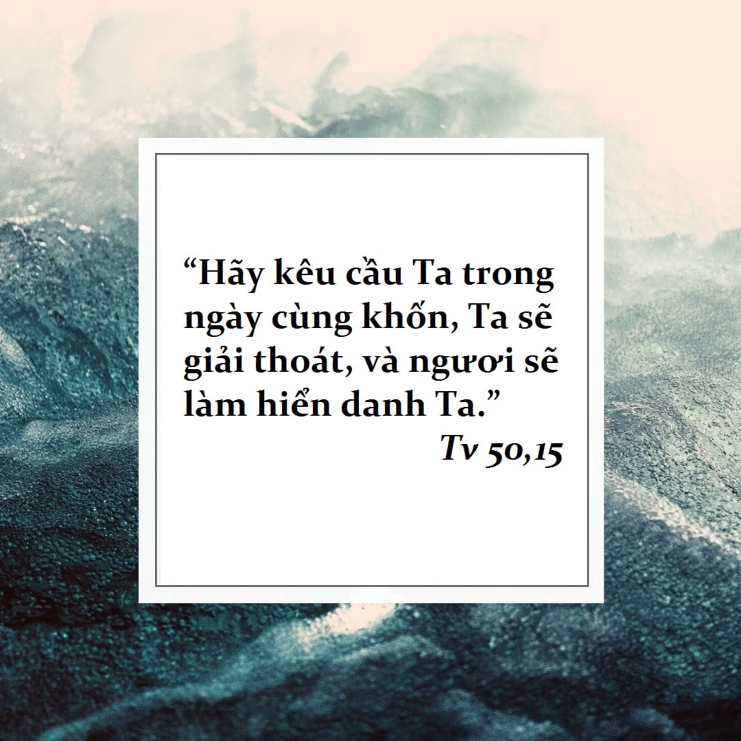 quotes7