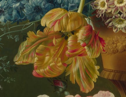 details-of-tulip
