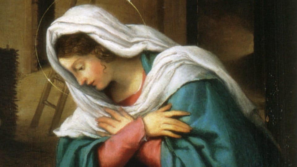 marynativitywiki