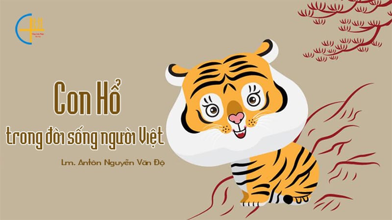 baiconhotrongdsnguoiviet