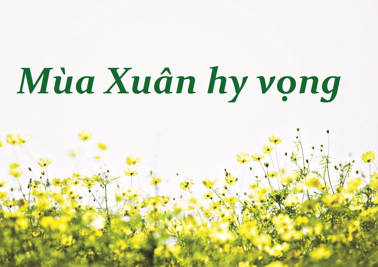 muaxuanhyvong