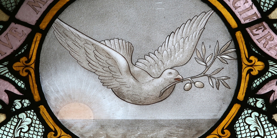 web3dovepeaceolivegodongfr481893a