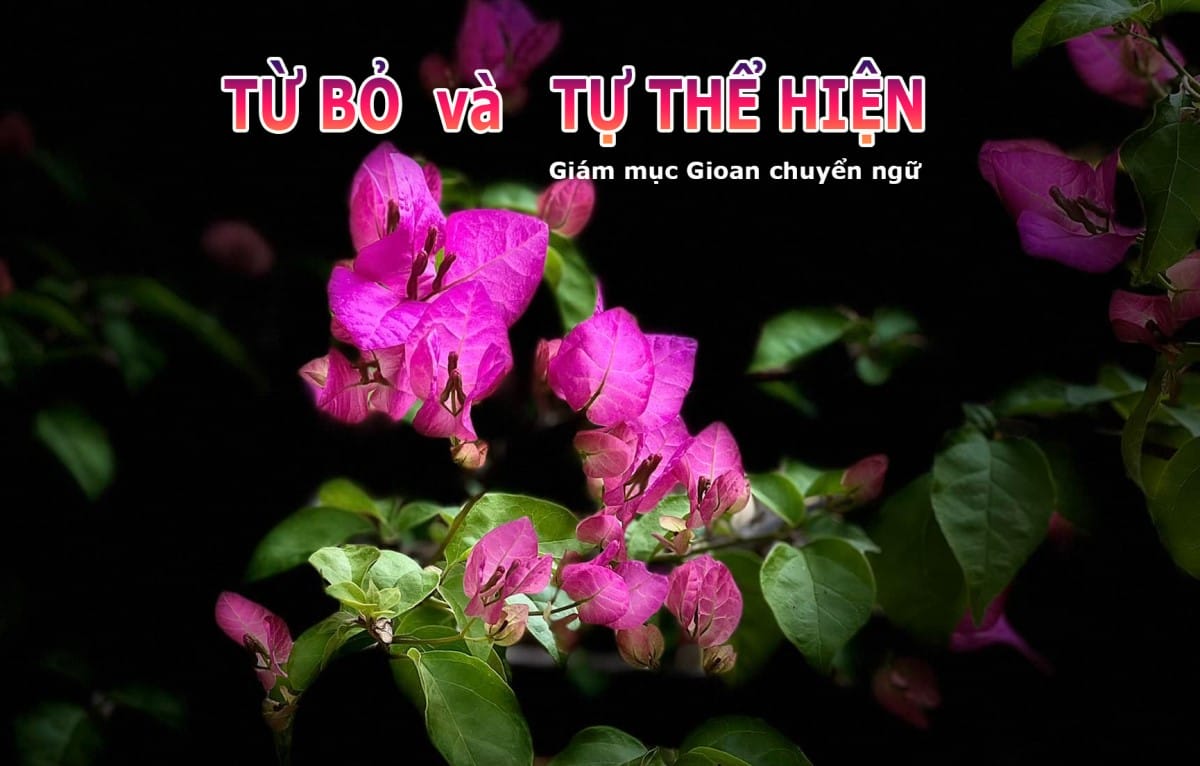 tubovatuthehien