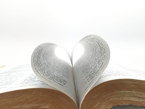 istockphoto1126359556170667a