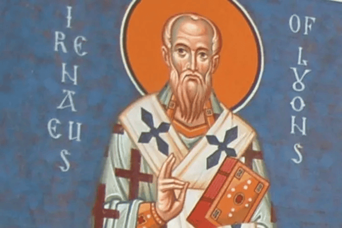 stirenaeus