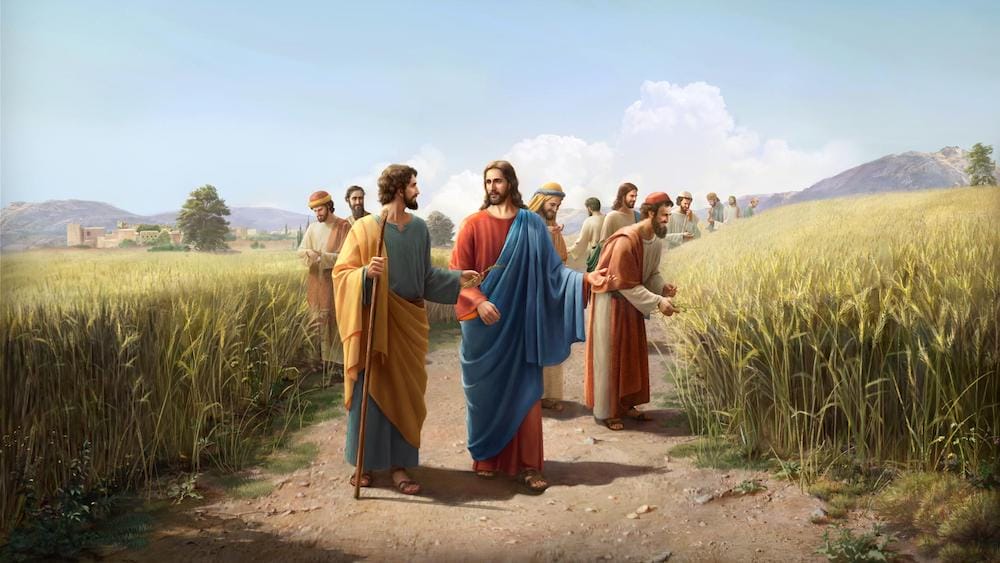 crossing-the-field