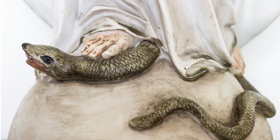 web3mblessedvirginmarysnakeserpentcrushesheaddevilsatanshutterstock web3mblessedvirginmarysnakeserpentcrushesheaddevilsatanshutterstock