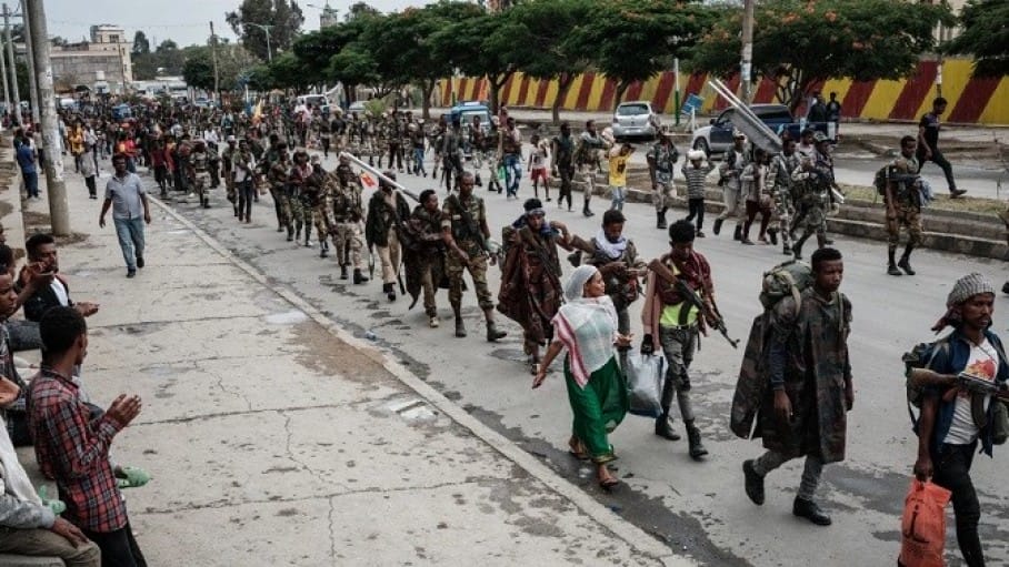 tigray2 tigray2