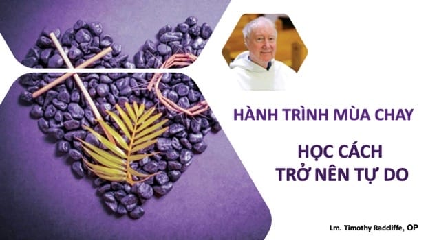 hanhtrinhmc