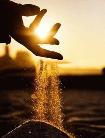 lettinggo