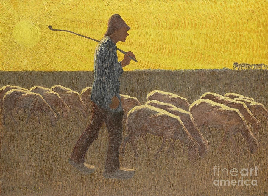 shepherd-sheep