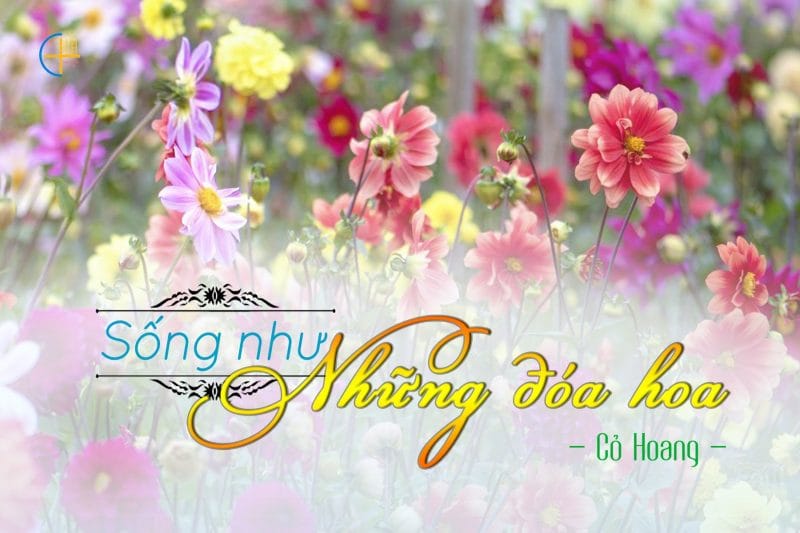 songnhunhungdoahoae16579819208811