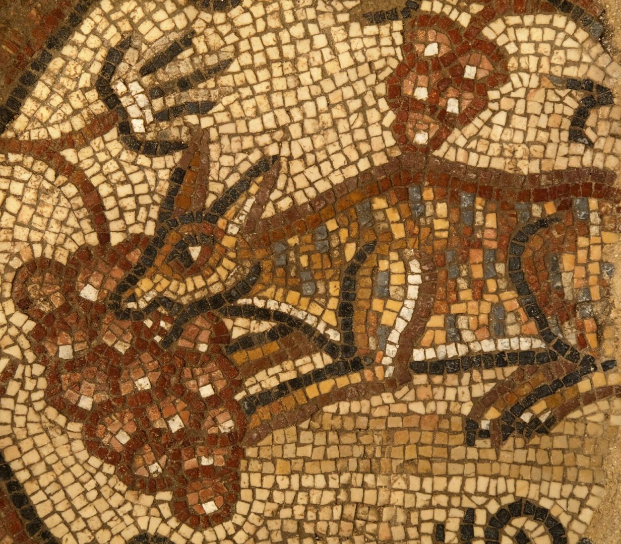 webrnsjaelmosaic10713221536x1347