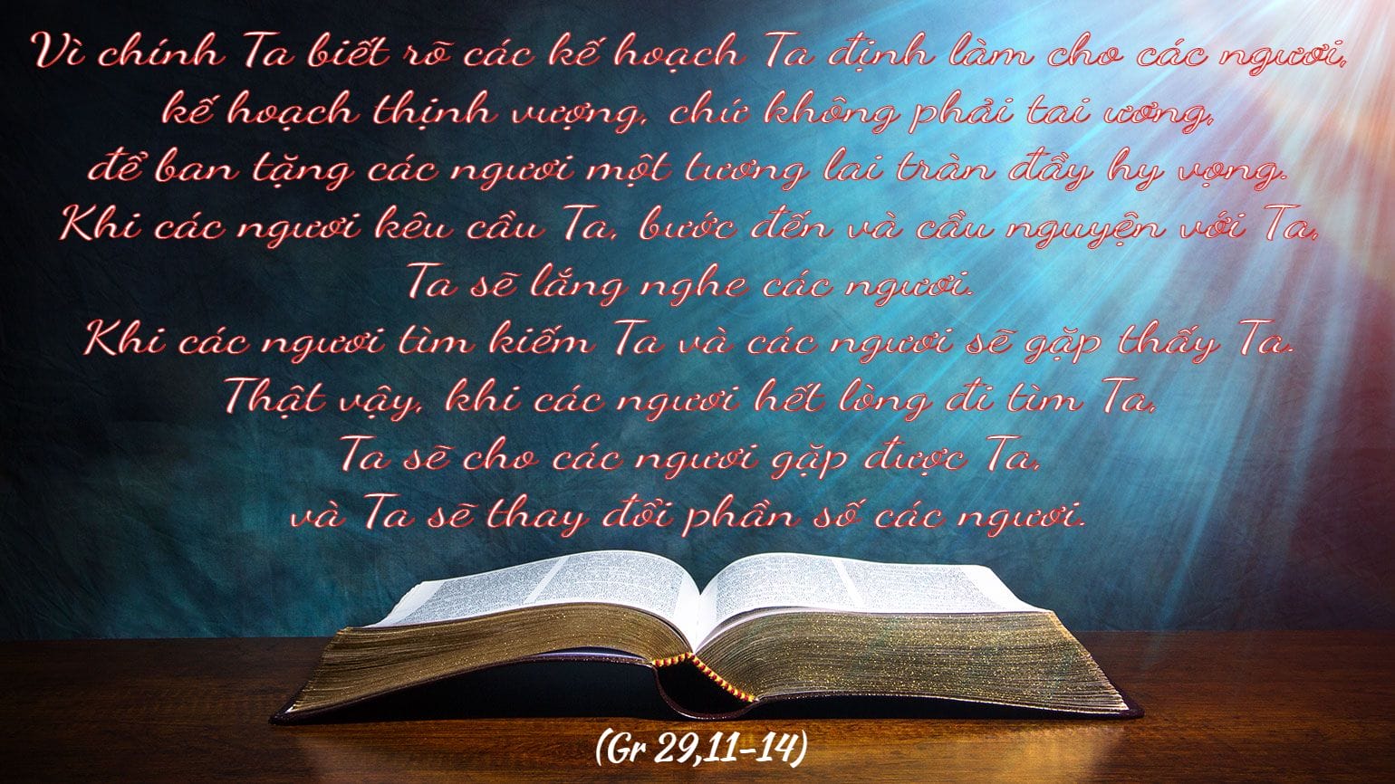 bibleforhope