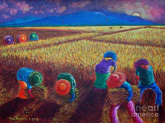 yellow-fields