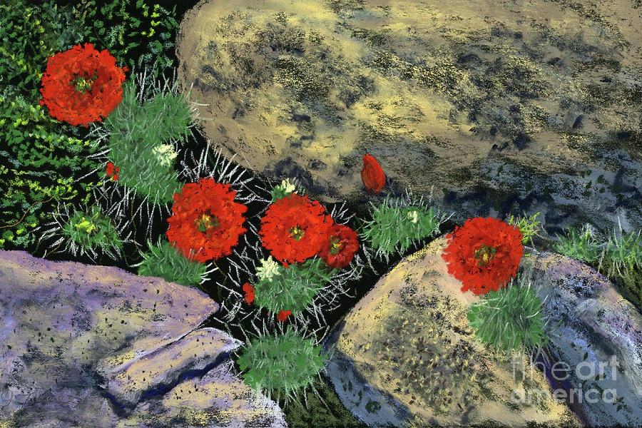 flowers-on-rocks