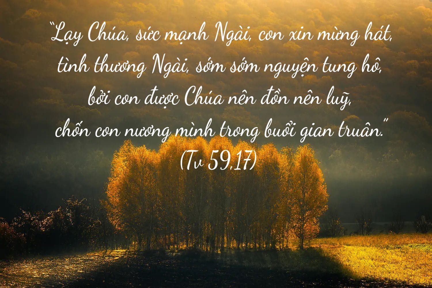 morningbible1
