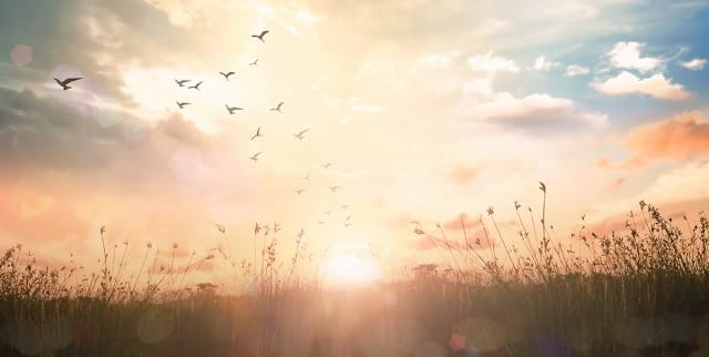 sunrisse