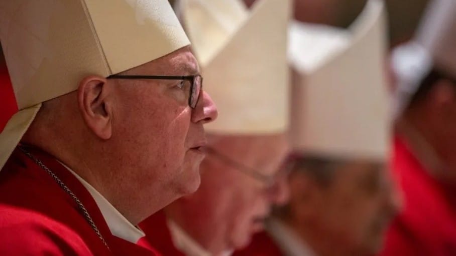 cardinaldolan1