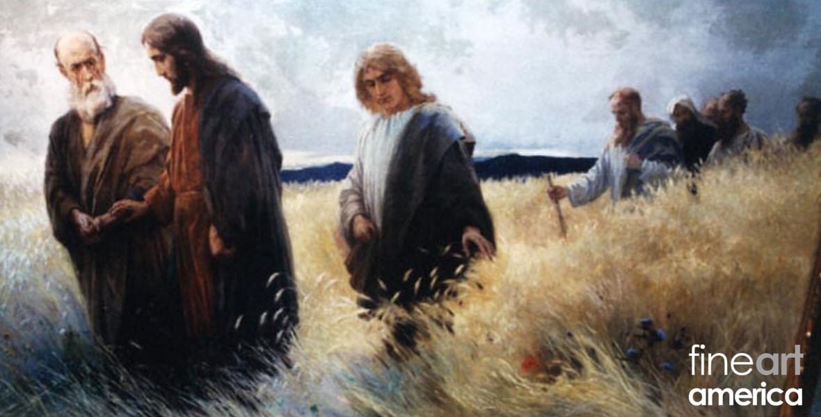 crossing-the-field1