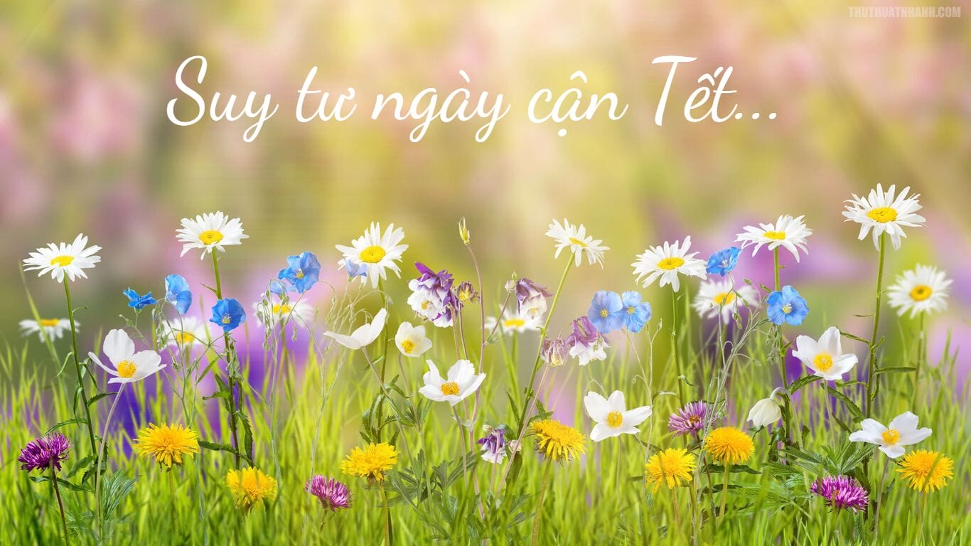 suytungaycantet