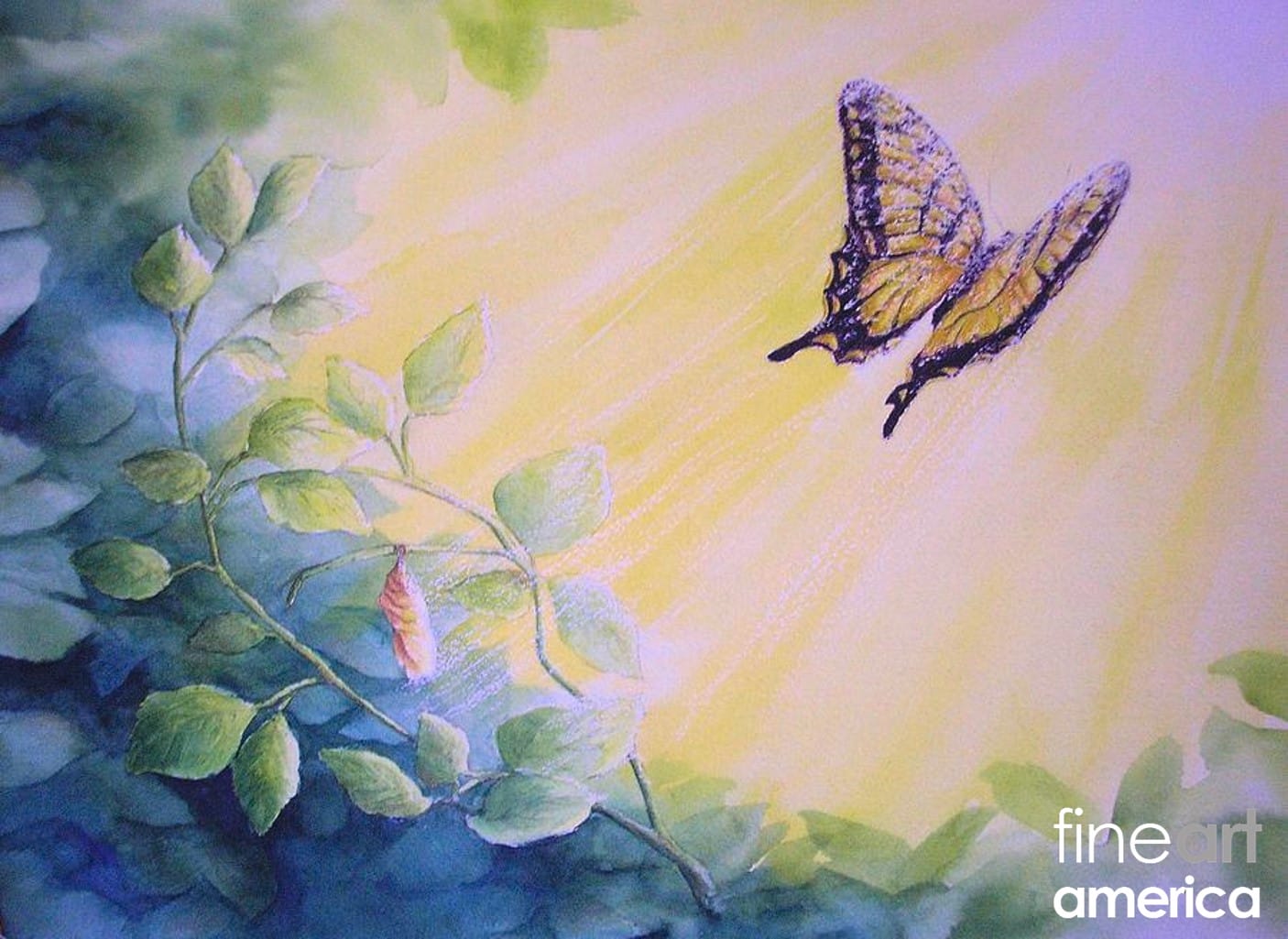 a-new-creation-1