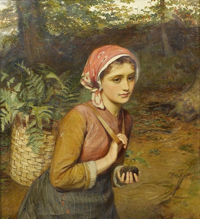 charlessillemlidderdaletheferngatherer