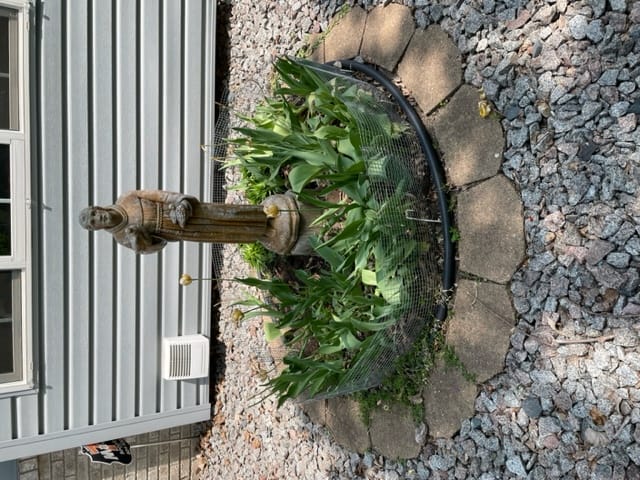 image2-4